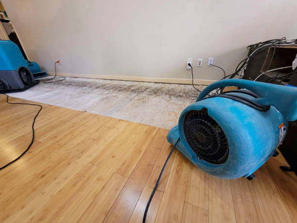 Professional Flood Damage Cleanup technician working in Lindsay, OK